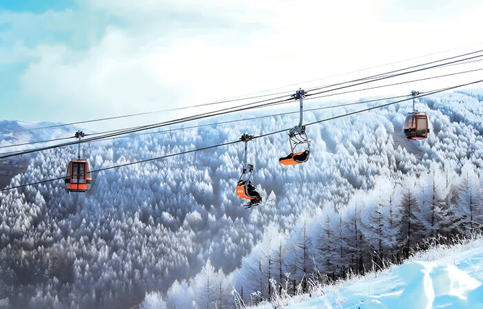 Detachable Grip Hybrid Cableway