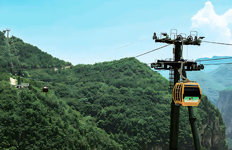 Custom-designed Detachable Cableway