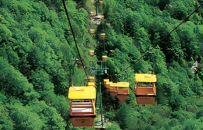 Pulsating Chairlift Cableway