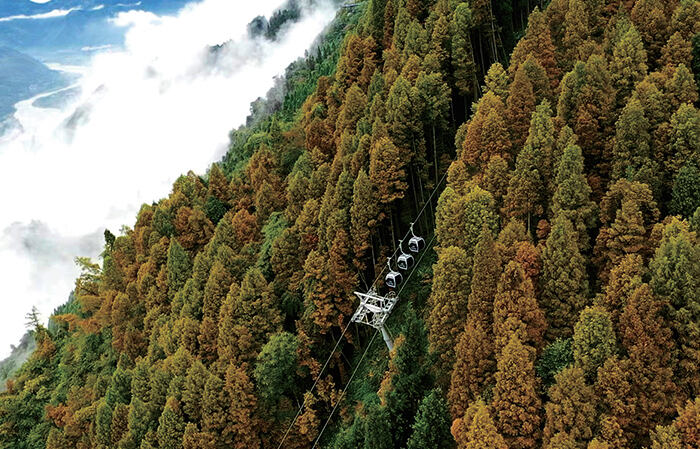 Export-customized Pulsed Cableway