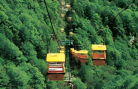Export-oriented Customized Fixed-grip Cableways