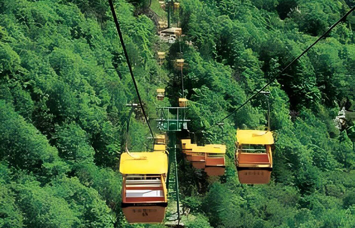 Export-oriented Customized Fixed-grip Cableways