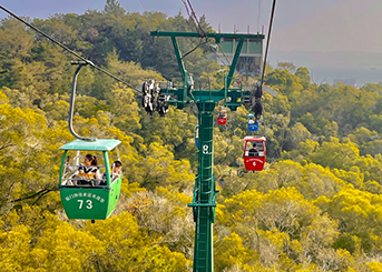 Can the ropeway system operate in severe weather conditions?