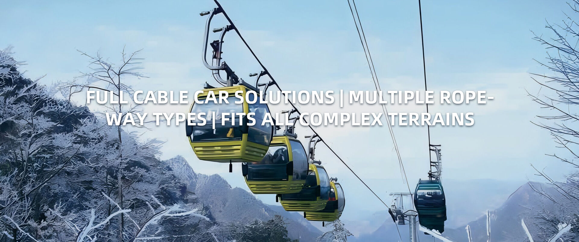 QiangLi Amusement Equipment Co., Ltd.